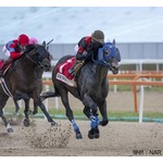 “地方競馬初”海外のダート重賞制覇、G3コリアカップで快挙