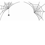 “世界最大のクモの巣”発見、約31坪強に11万匹が在住