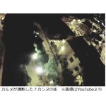 カモメがカメラ持ち去り撮影、カンヌの街が眼下に広がる映像の真偽は。