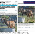 ヘラジカの小動物救助が話題に、“あり得ない”行動に飼育員たちも感動。