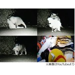 夜な夜な「窃盗」被害に遭う街、3年間で600点ものモノを盗んだ犯人は…。