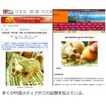 見慣れぬ猿現れ“宇宙人”騒動、病気と栄養不足で痩せこけ凶悪な姿に。