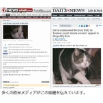 飼いネコに陪審員呼び出し状、飼い主が「辞退依頼」するも認められず。