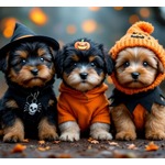 “ペットにハロウィン仮装”イギリスでは飼い主に懲役刑の可能性